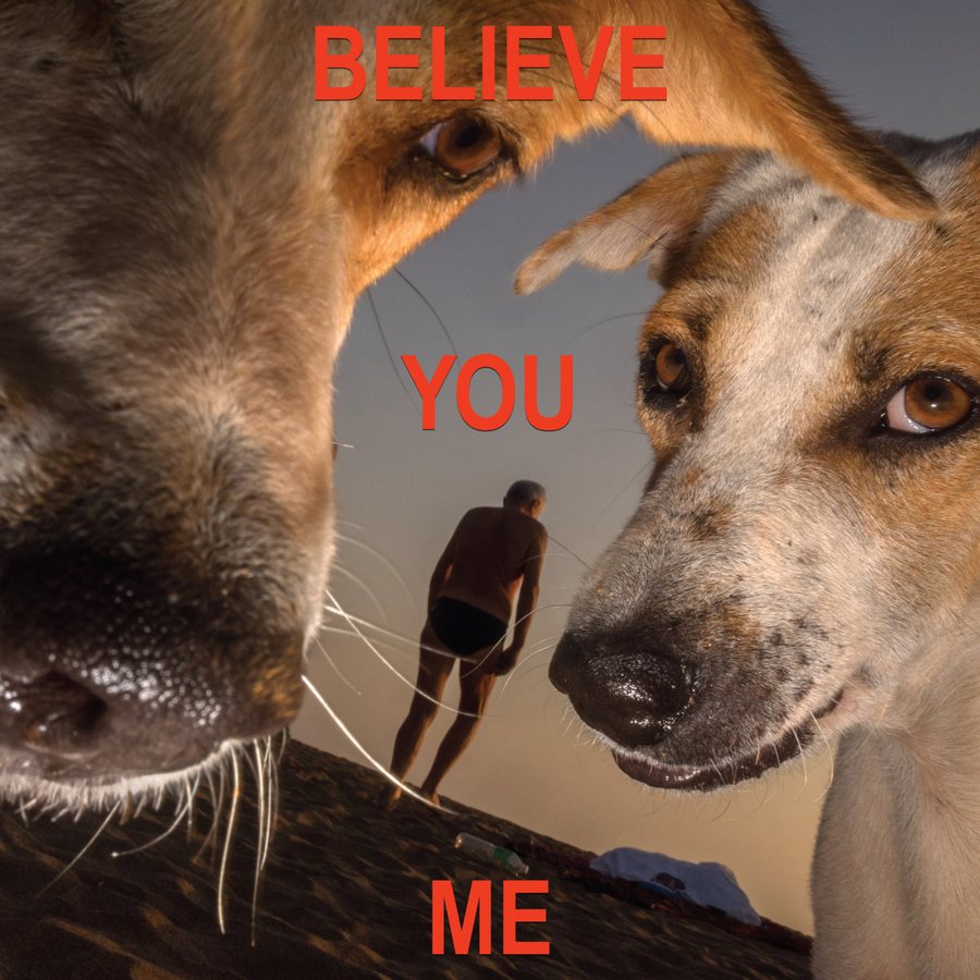 Believe You Me cover